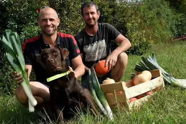 La Ferme de l'Epi Vert